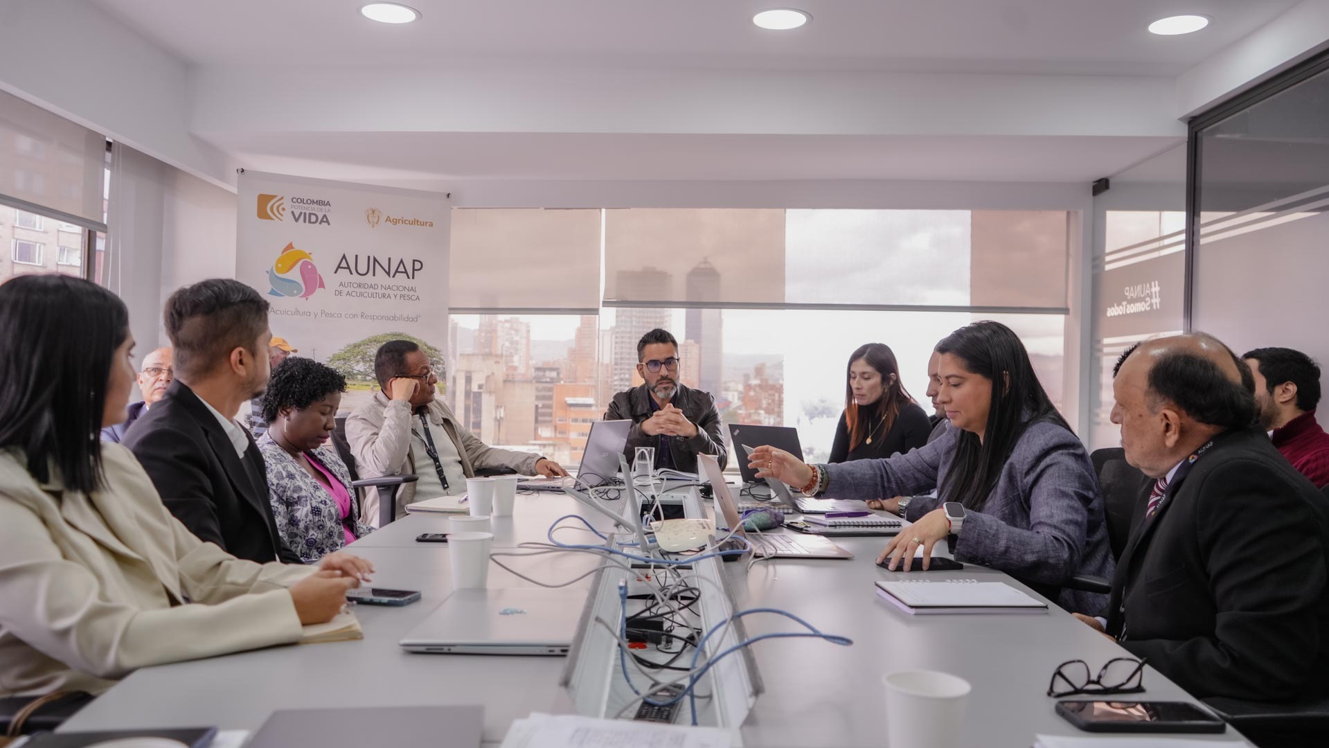 Reuniones Estratégicas de la AUNAP