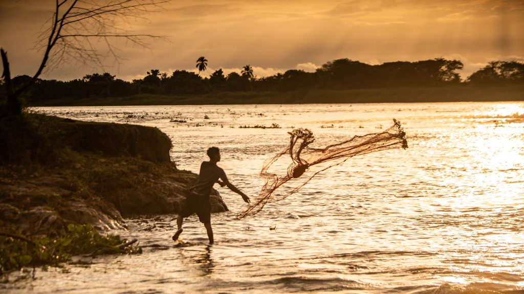 La AUNAP promueve el fortalecimiento de la pesca responsable y sostenible en todo el territorio nacional, reafirmando su compromiso con las comunidades pesqueras y acuícolas del país.