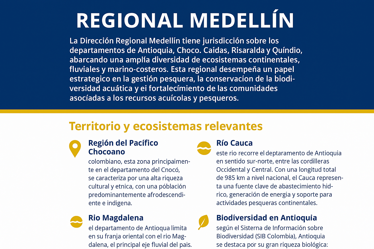 Director Regional Medellín