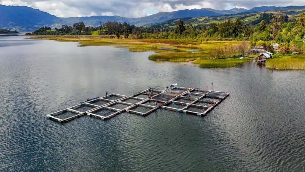 Jaulas flotantes para cultivo de peces en Pasto, Nariño.