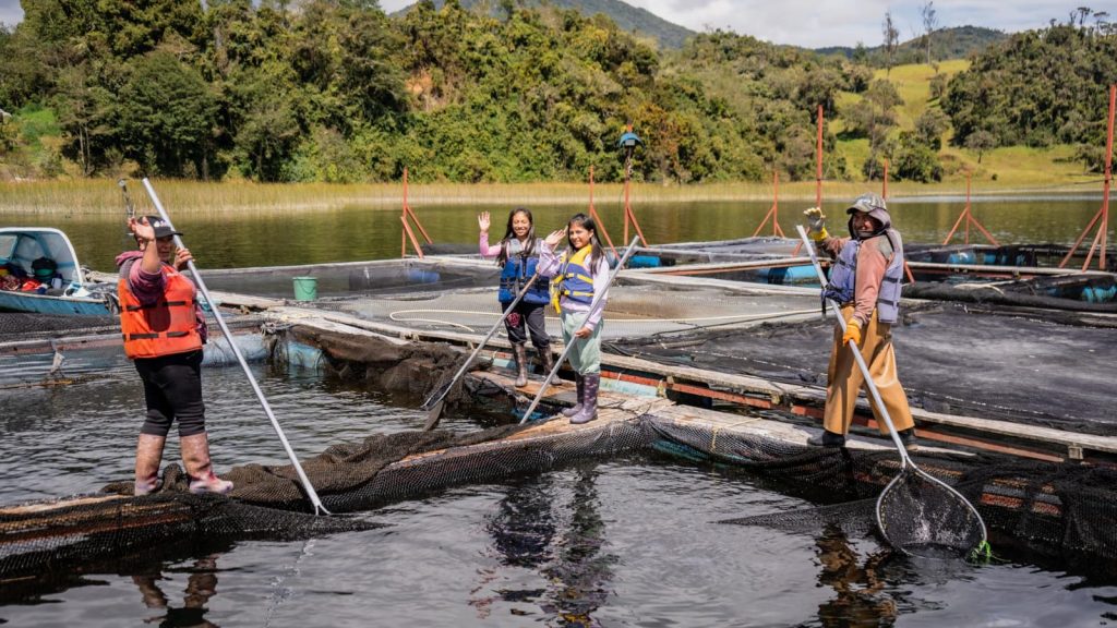 Acuicultores de distintas regiones del país se reúnen en Pasto para definir el rumbo de un sector clave para la seguridad alimentaria.