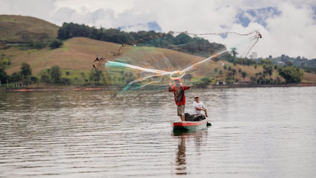 Técnica tradicional de pesca artesanal en el Valle del Cauca, donde la experiencia y el conocimiento ancestral guían cada lanzamiento de la red.