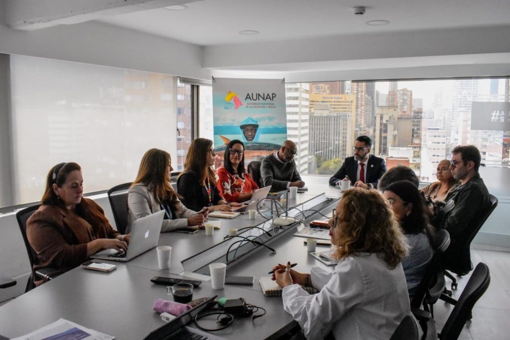 William Tepud, director general de la AUNAP, durante la reunión con la FAO y el Ministerio de Agricultura.