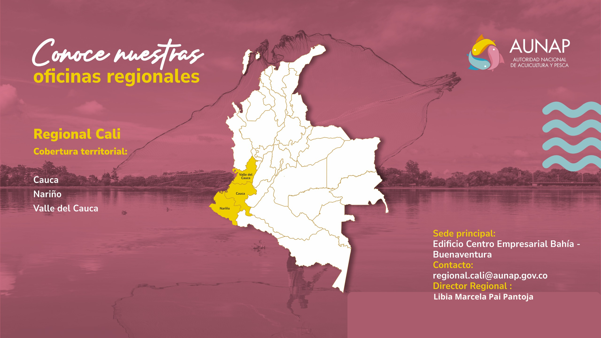 Infografía Regional Cali AUNAP
