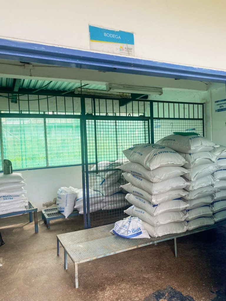 Área de bodega con almacenamiento organizado de insumos, fundamental para el control sanitario y la operación eficiente de la estación.