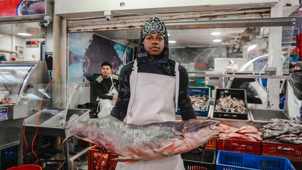 La cadena de comercialización pesquera asegura el abastecimiento oportuno de pescado en el país, con una oferta suficiente y diversificada proveniente de la acuicultura, la pesca y las importaciones.