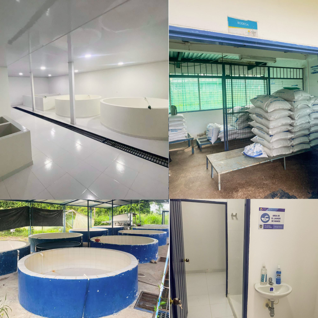 La Estación Piscícola del Alto Magdalena fue recertificada como establecimiento de acuicultura bioseguro.