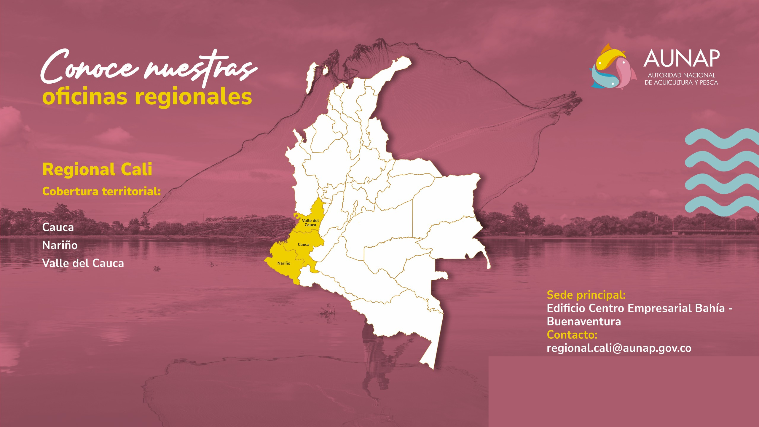 Infografía Regional Cali AUNAP
